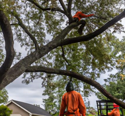 Tree Tech Tree Service