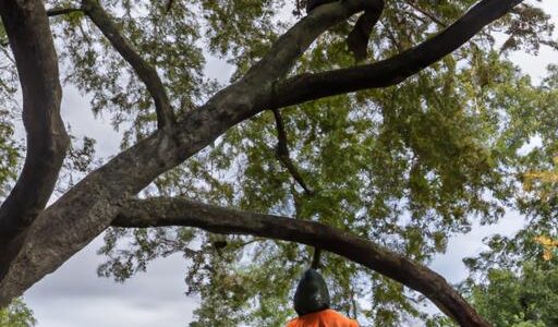 Tree Tech Tree Service